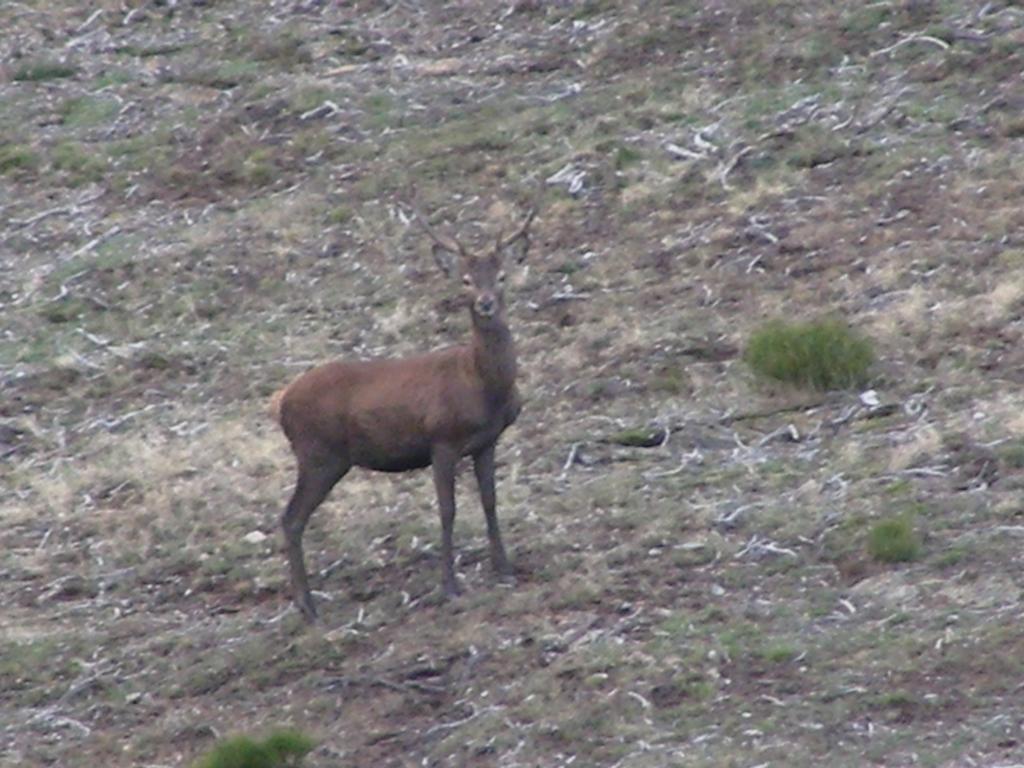El Invernal De Picos Portilla de la Reina Екстериор снимка