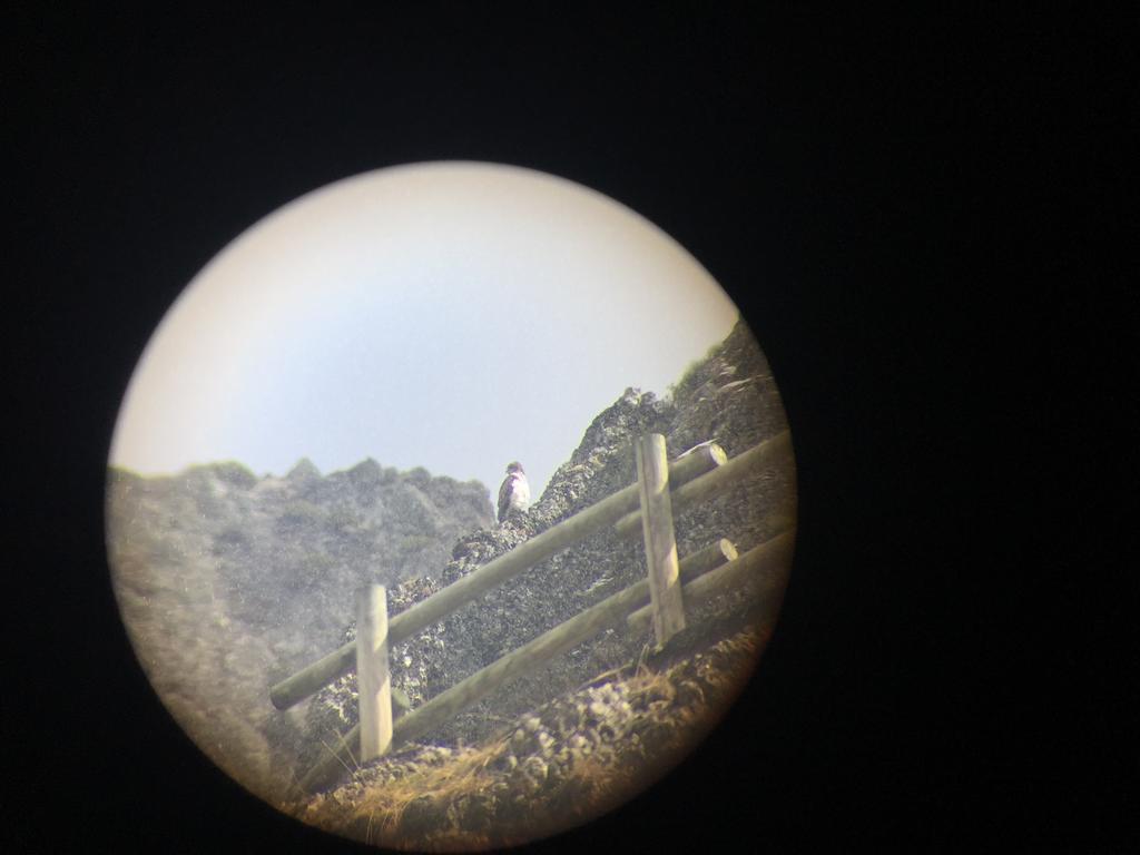 El Invernal De Picos Portilla de la Reina Екстериор снимка